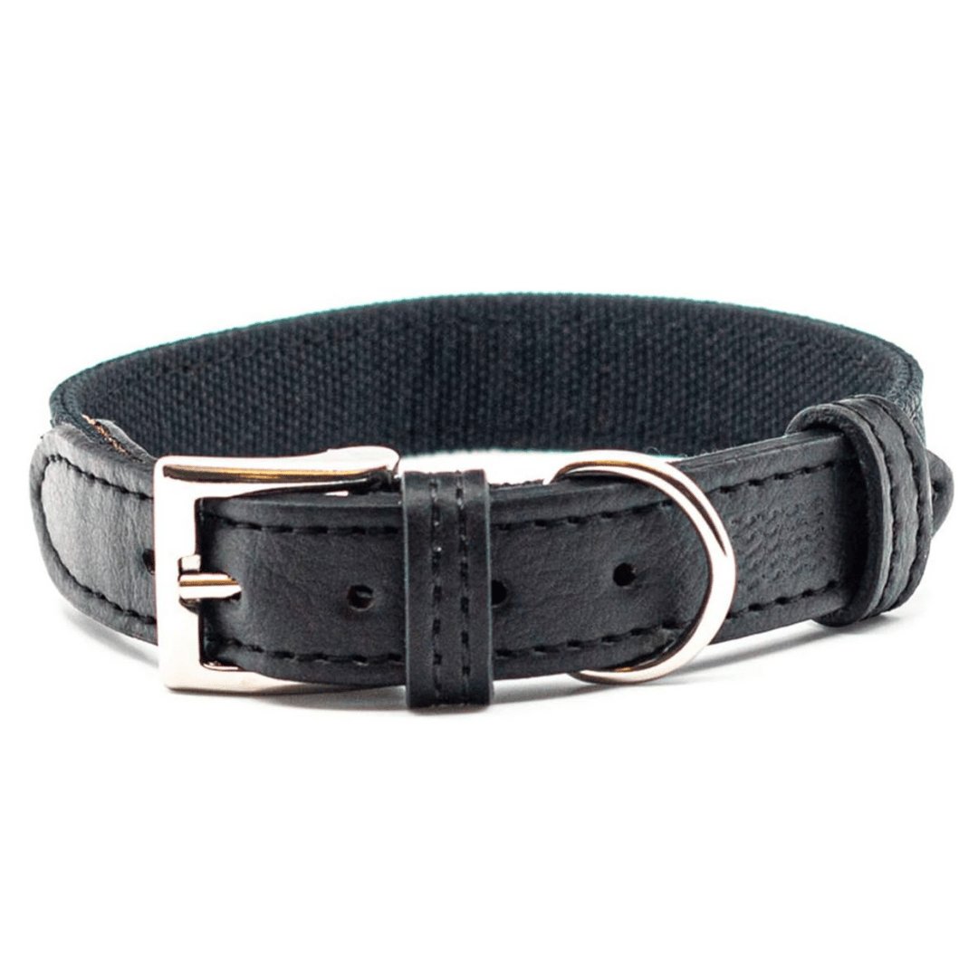 Project Blu Santorini Black Leather Collar - liquidation.store