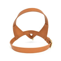 Thumbnail for Project Blu Tyrol Tan Leather Dog Harness - liquidation.store