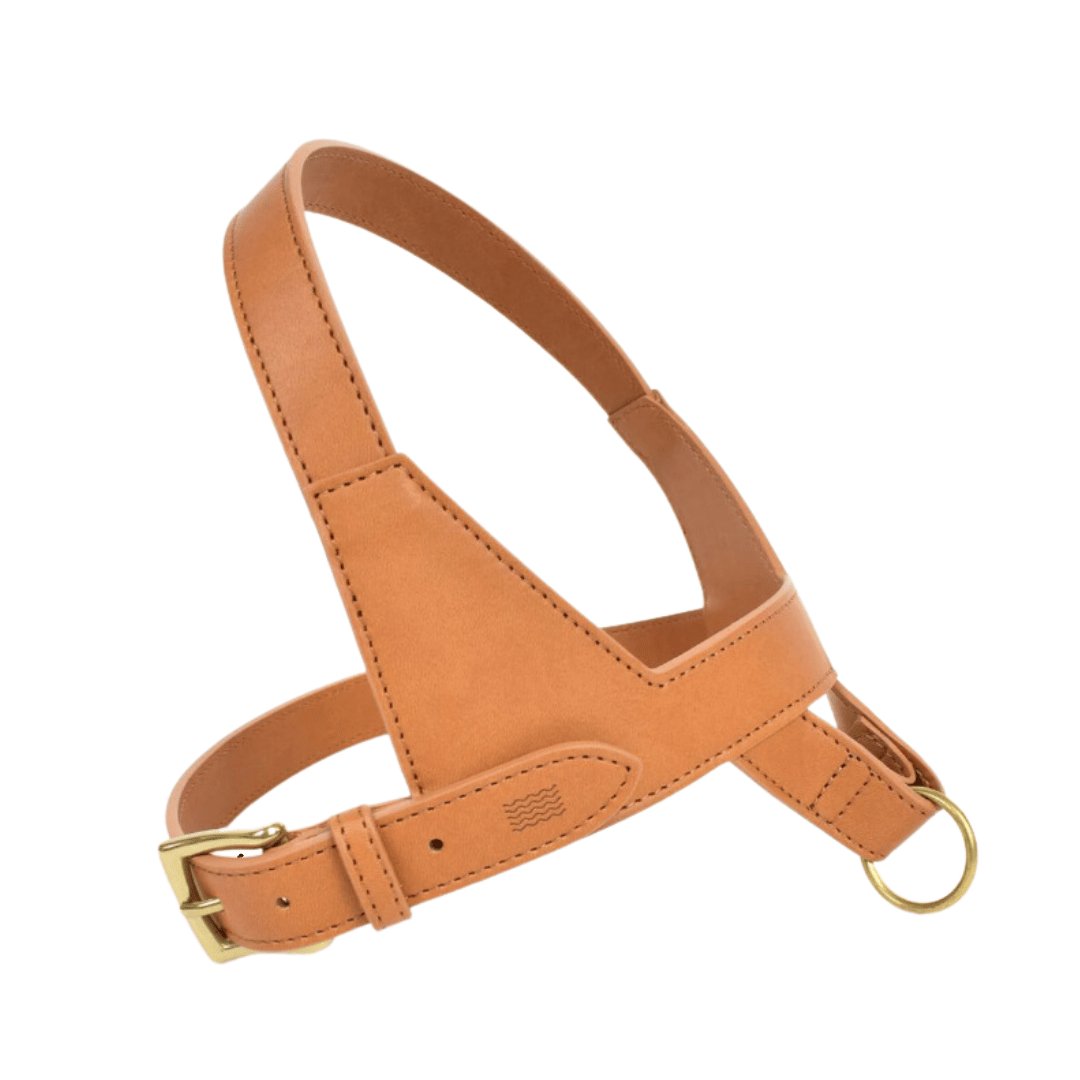 Project Blu Tyrol Tan Leather Dog Harness - liquidation.store