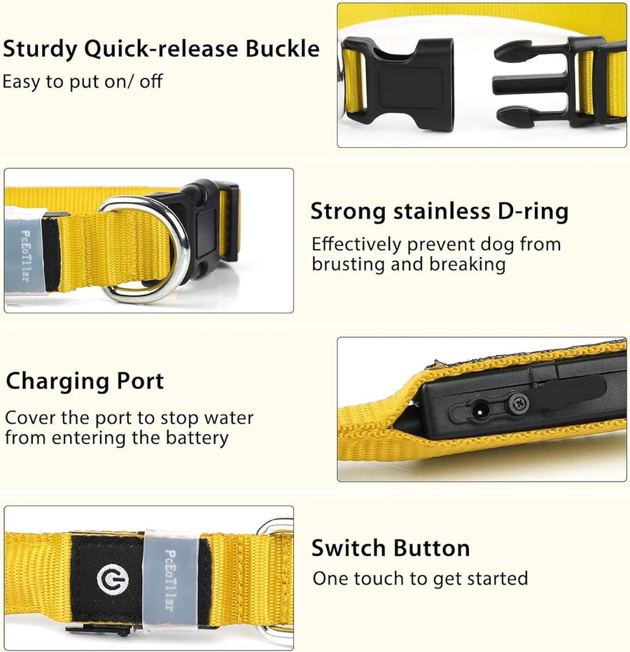 Rechargeable & Adjustable LED Dog Collar - Green (Medium: 40 - 48cm) - liquidation.store