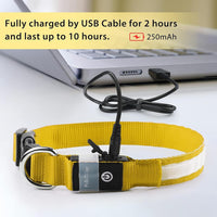 Thumbnail for Rechargeable & Adjustable LED Dog Collar - Green (Medium: 40 - 48cm) - liquidation.store