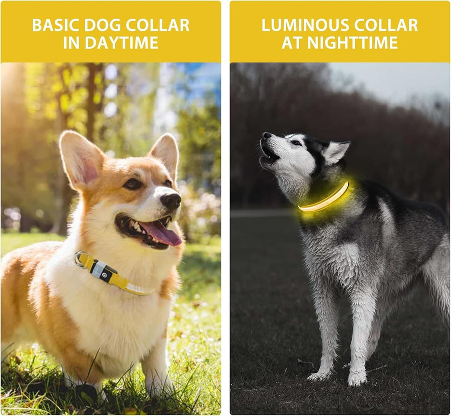 Rechargeable & Adjustable LED Dog Collar - Green (Medium: 40 - 48cm) - liquidation.store