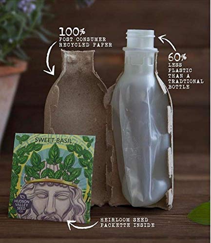 Seed Phytonutrients Lightweight Conditioner (For Normal to Fine Hair) 250ml - liquidation.store