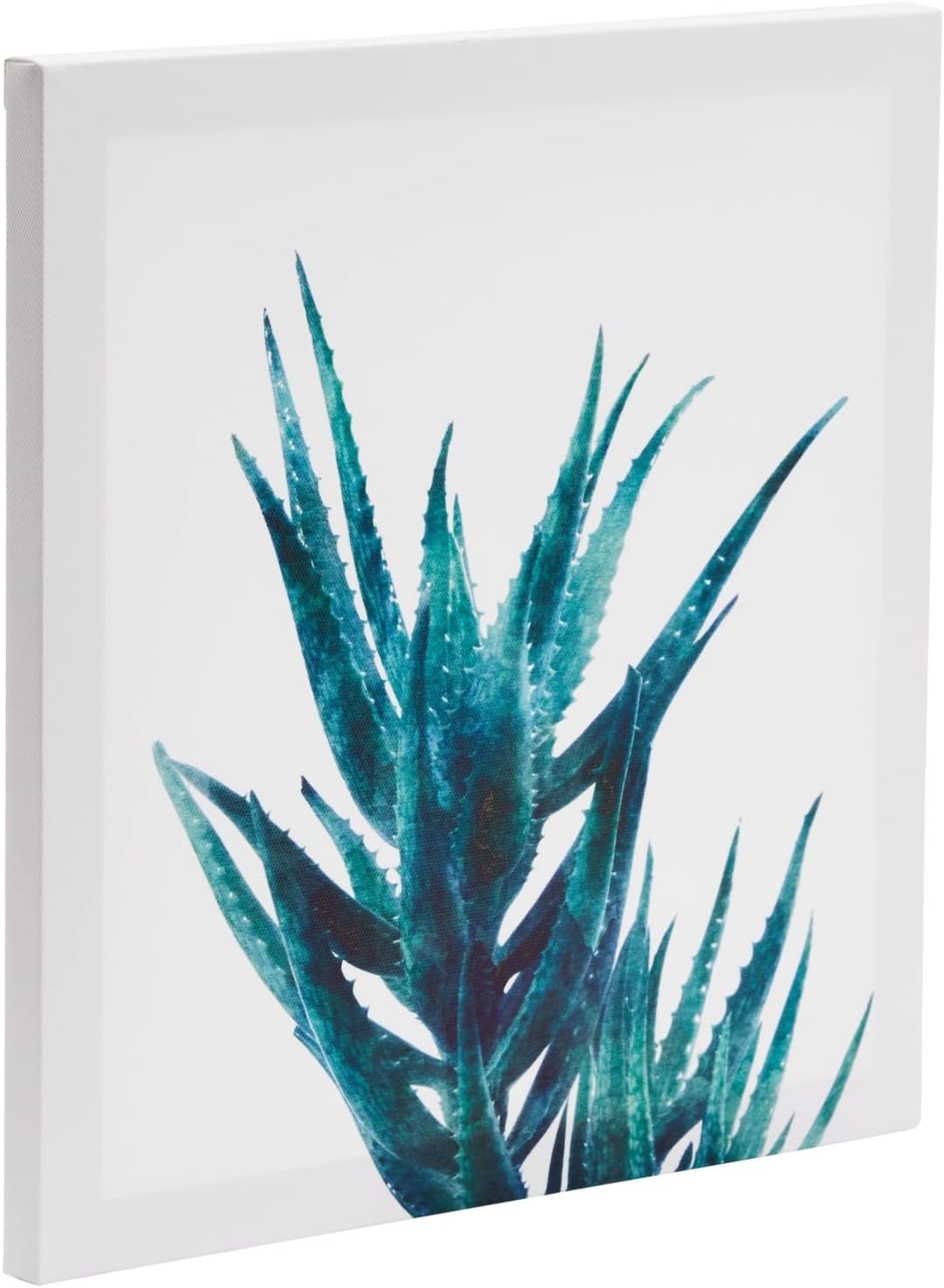 Set of 4 Succulent Wall Art Canvas Prints (12 x 12) - liquidation.store