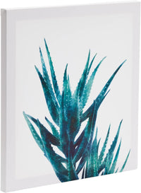 Set of 4 Succulent Wall Art Canvas Prints (12 x 12) - liquidation.store