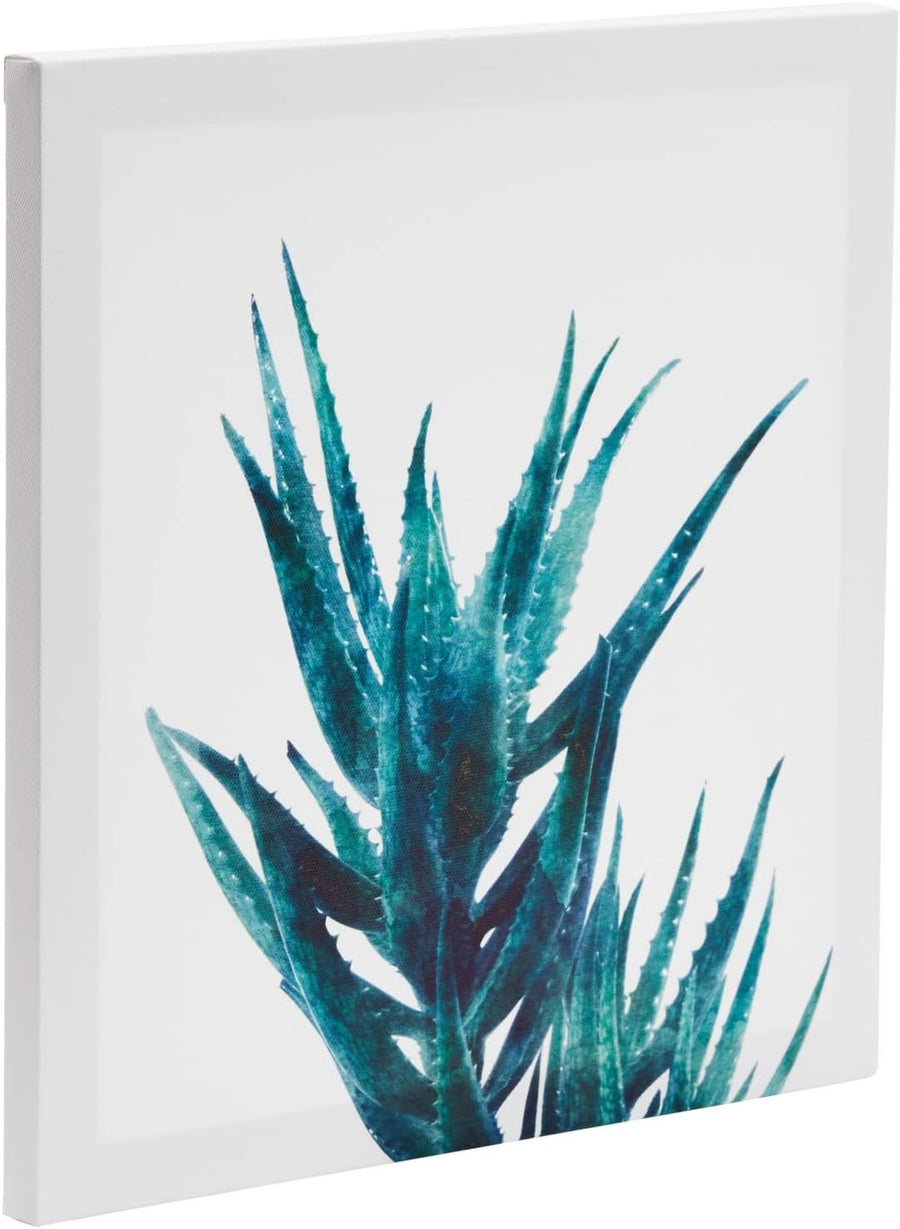 Set of 4 Succulent Wall Art Canvas Prints (12 x 12) - liquidation.store