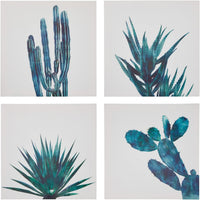 Set of 4 Succulent Wall Art Canvas Prints (12 x 12) - liquidation.store