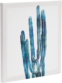 Set of 4 Succulent Wall Art Canvas Prints (12 x 12) - liquidation.store