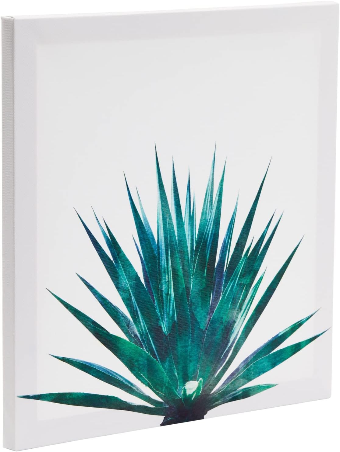 Set of 4 Succulent Wall Art Canvas Prints (12 x 12) - liquidation.store