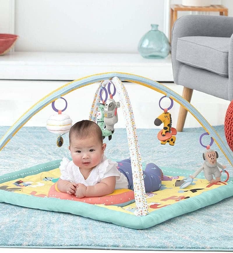 Skip Hop Baby Play Gym, ABC & Me, Pastel - One Size - liquidation.store