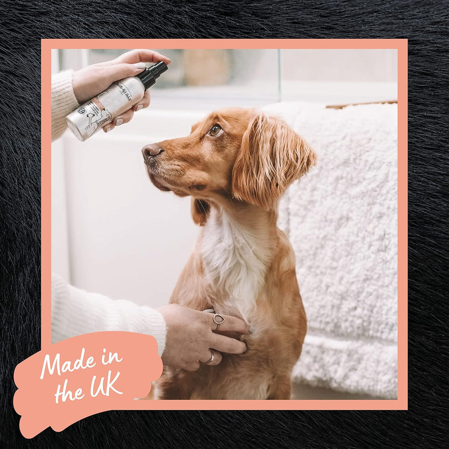 Sniffe and Likkit Dog Cologne Spray - 125ml - liquidation.store