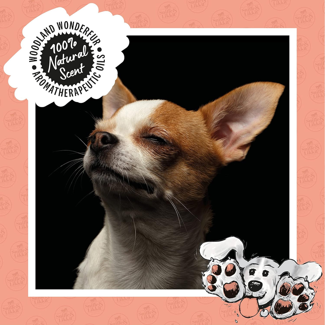 Sniffe and Likkit - Wippets Paw Cleansing Wipes (10 Sachets) - liquidation.store