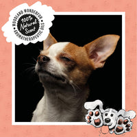 Thumbnail for Sniffe and Likkit - Wippets Paw Cleansing Wipes (10 Sachets) - liquidation.store