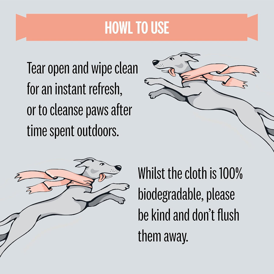 Sniffe and Likkit - Wippets Paw Cleansing Wipes (10 Sachets) - liquidation.store