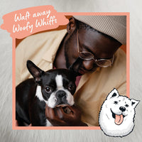 Thumbnail for Sniffe and Likkit - Wippets Paw Cleansing Wipes (10 Sachets) - liquidation.store