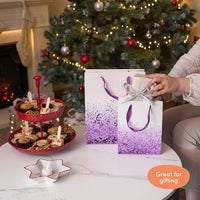 THE TWIDDLERS - 8 Colourful Gift Bags (Assorted Colours & Sizes) - liquidation.store