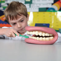 Thumbnail for Tickit Giant Teeth Demonstration Set - Kids Teeth Brush Teaching - liquidation.store