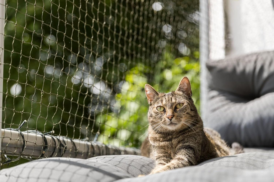 Trixie Protective Cat Net Woven in Wire - Olive Green (2 x 1.5M) - liquidation.store