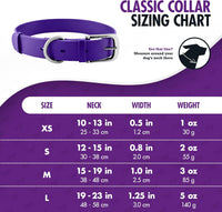 Thumbnail for Tuff Pupper Classic Heavy Duty Dog Collar Purple - Medium - liquidation.store