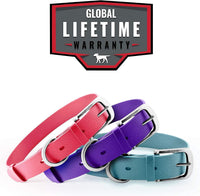 Thumbnail for Tuff Pupper Classic Heavy Duty Dog Collar Purple - Medium - liquidation.store