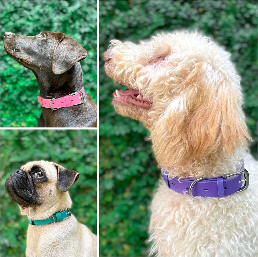 Tuff Pupper Classic Heavy Duty Dog Collar Purple - Medium - liquidation.store