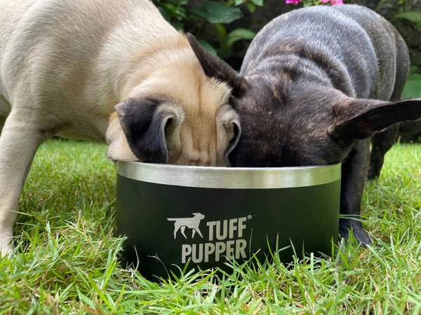 Tuff Pupper Heavy Duty Insulated Bowl for Large Dogs - 100oz (Black) - liquidation.store