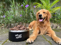 Thumbnail for Tuff Pupper Heavy Duty Insulated Bowl for Large Dogs - 100oz (Black) - liquidation.store