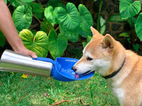 Thumbnail for Tuff Pupper PupFlask Dog Water Bottle - 27OZ (Blue) - liquidation.store