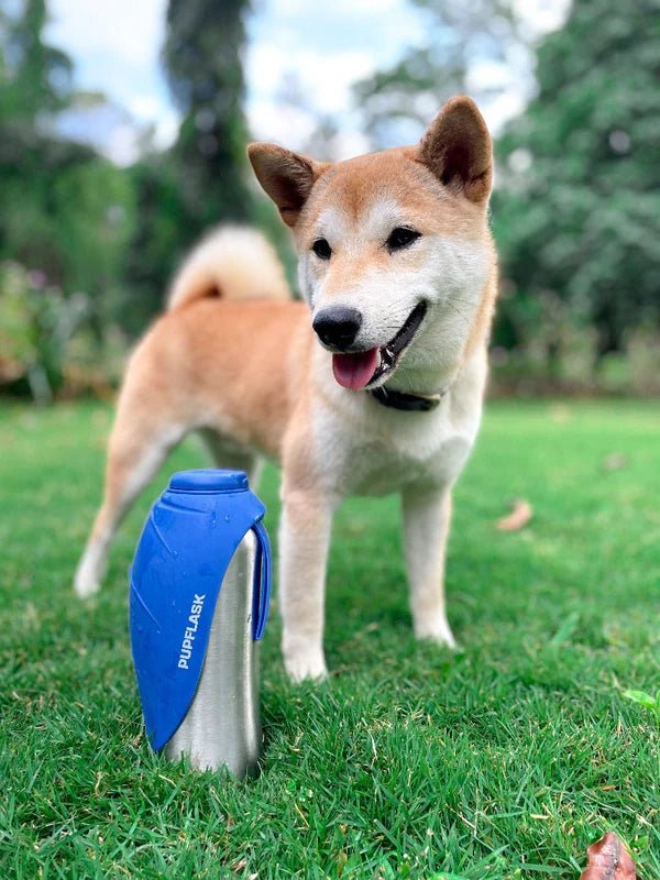 Tuff Pupper PupFlask Dog Water Bottle - 27OZ (Blue) - liquidation.store