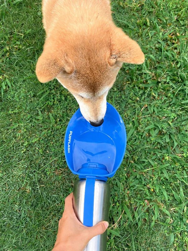 Tuff Pupper PupFlask Dog Water Bottle - 27OZ (Blue) - liquidation.store