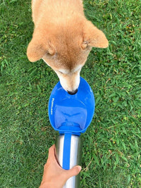 Thumbnail for Tuff Pupper PupFlask Dog Water Bottle - 27OZ (Blue) - liquidation.store