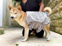 Thumbnail for Tuff Pupper Quick Dry Towel for Dogs - Large - liquidation.store