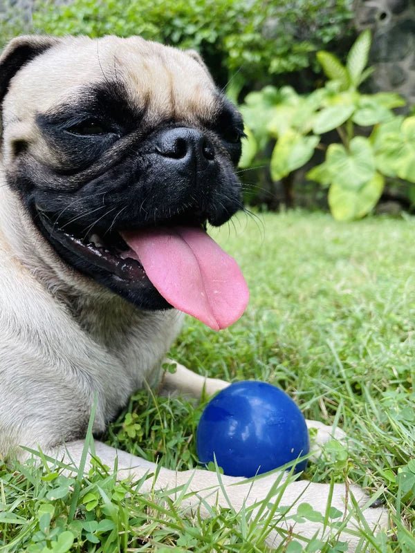 Tuff Pupper Super Chewy Ultra Ball - Blue - liquidation.store