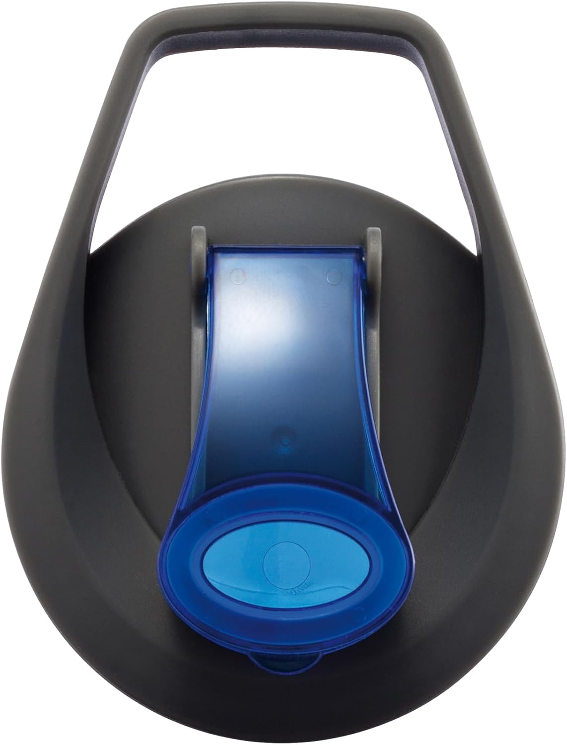 Water Bottle with Infuser (Blue Top) - liquidation.store