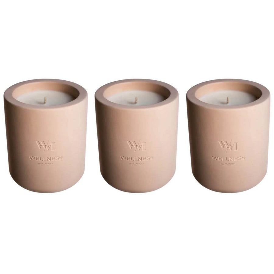 Wellness By Manuel REFRESH Scented Designer Candle - Eucalyptus & Peppermint (3 Pack) - liquidation.store